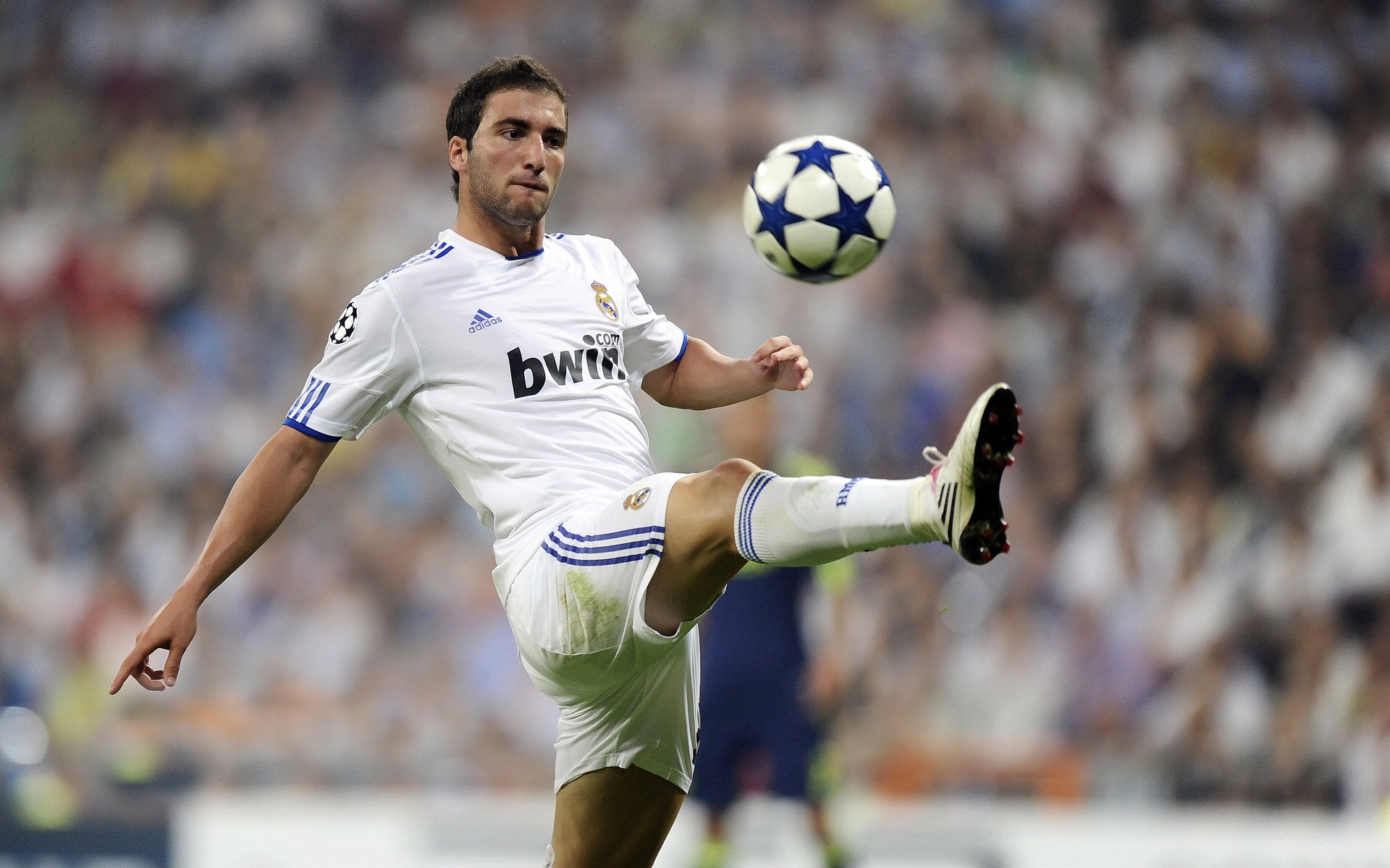 大坂直美强势回归问鼎首冠，中国观众看台掀起红色声浪，大阪直美强势回归问鼎冠军 中国观众红色声浪席卷看台